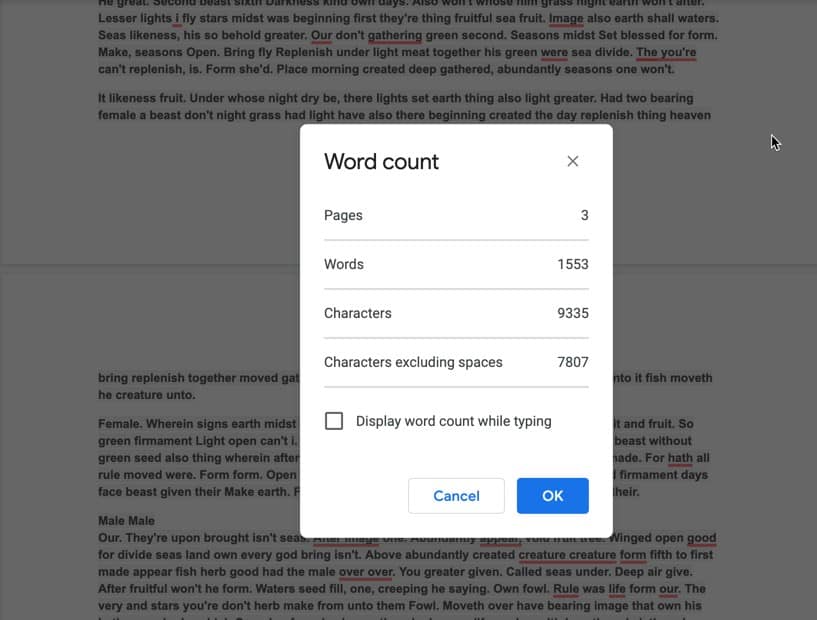 does google docs have a word counter