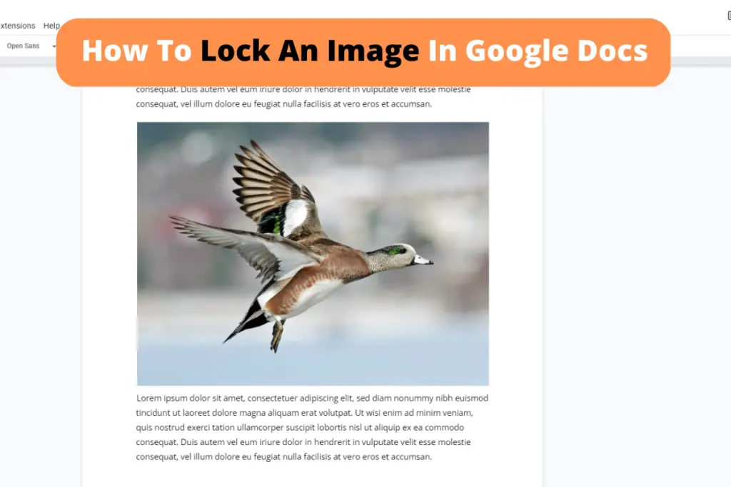 How Do I Lock An Image In Google Sheets